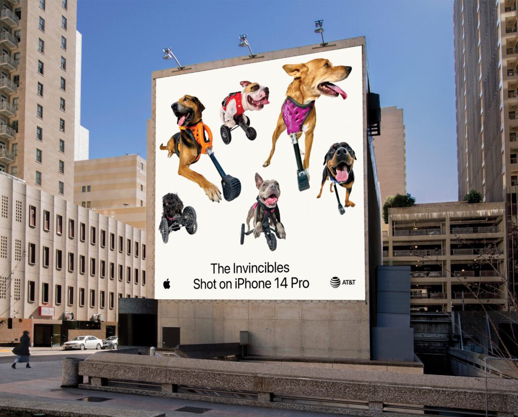 Imagem sobre o projeto 'The Invincibles'